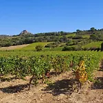 Hébergement de vacances Maison Cosy Au Coeur Du Pays Cathare - Corbières Cascastel-des-Corbières