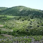 Hébergement de vacances Maison Cosy Au Coeur Du Pays Cathare - Corbières Cascastel-des-Corbières