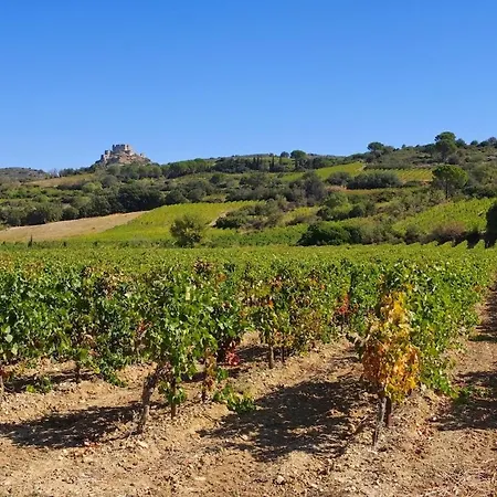 펜션 Maison Cosy Au Coeur Du Pays Cathare - Corbieres Cascastel-des-Corbières