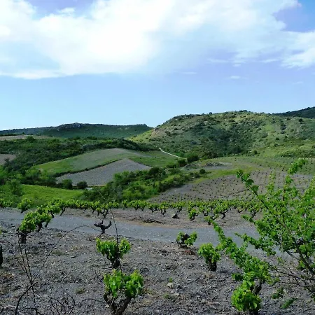 펜션 Maison Cosy Au Coeur Du Pays Cathare - Corbieres