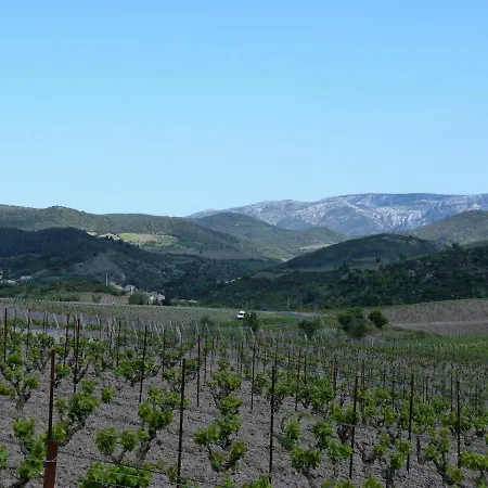펜션 Maison Cosy Au Coeur Du Pays Cathare - Corbieres