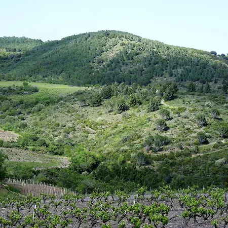 펜션 Maison Cosy Au Coeur Du Pays Cathare - Corbieres Cascastel-des-Corbières